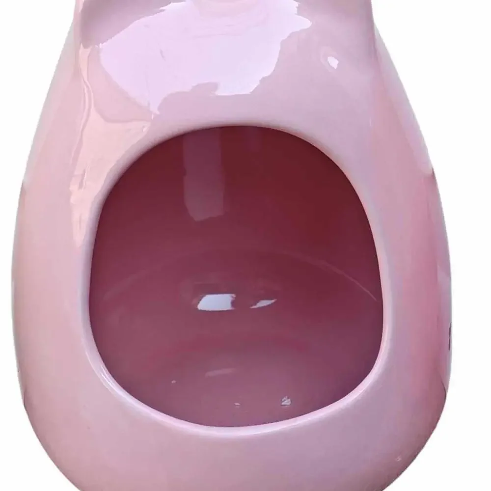 Ceramic Dust bath Or Pet Food Dish Heavyweight
